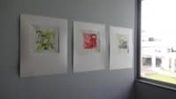 Dsc00172