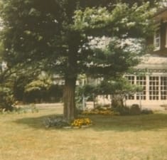 Mhouseyard