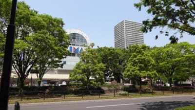 Dsc00251