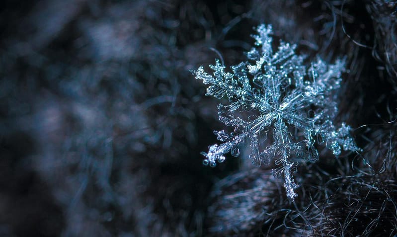 Close Up Photography Of Snowflake 813872