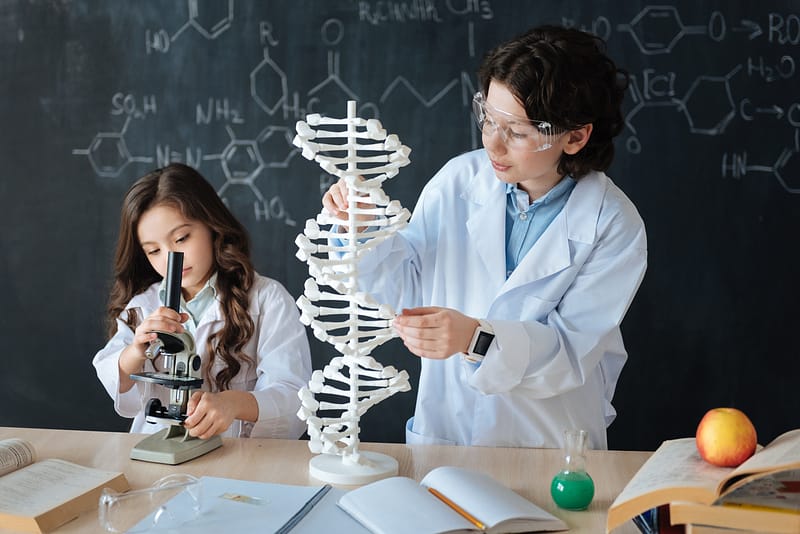 Shutterstock 609514085